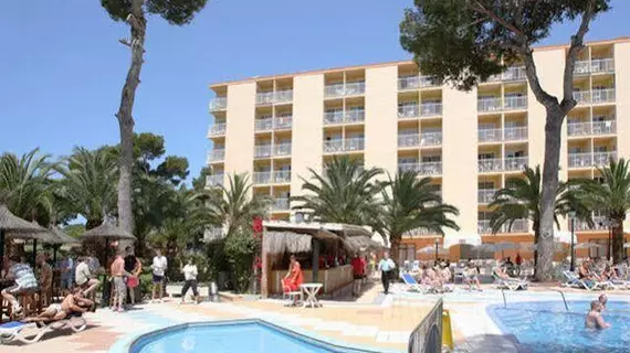 Cook's Club Palma Beach | Balearic Adaları - Mayorka Adası - Campos - Migjorn