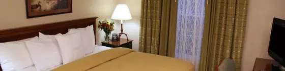 Homewood Suites by Hilton Baltimore-Washington Intl Apt | Maryland - Baltimore (ve civarı) - Linthicum Heights