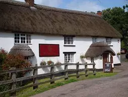 The New Inn | Devon (kontluk) - Crediton