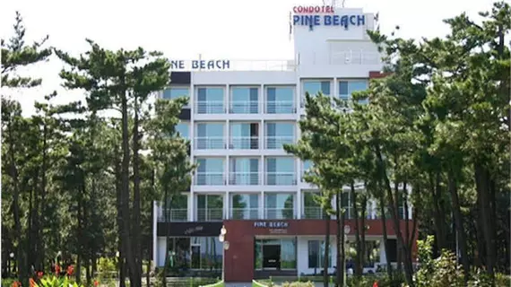 Pine Beach Condotel | Gangwon - Sokcho (ve civarı) - Yangyang