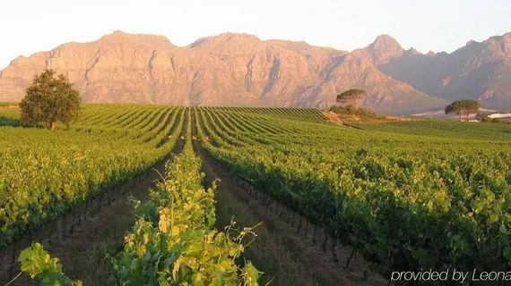 Three Cities Kleine Zalze Lodge | Western Cape (il) - West Coast DC - Drakenstein - Cape Town (ve civarı) - Stellenbosch