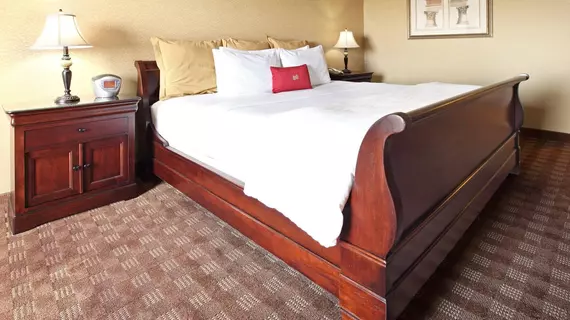 Crowne Plaza Hotel Dallas Market Center | Teksas - Dallas (ve civarı) - Dallas