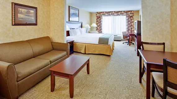 Holiday Inn Express Hotel & Suites Bethlehem Airport/Allentown area | Pensilvanya - Bucks County - Allentown (ve civarı) - Bethlehem