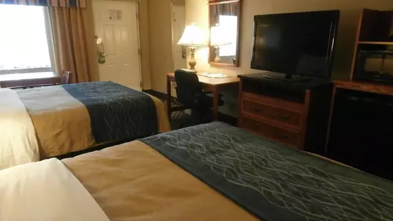 Comfort Inn Sun City Center | Florida - Tampa (ve civarı) - Sun City Center