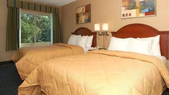 Comfort Inn West Rochester | New York - Rochester (ve civarı) - Rochester