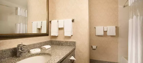 Drury Inn & Suites Greenville | Güney Karolayna - Greenville - Spartanburg (ve civarı) - Greenville