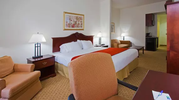 Holiday Inn Express Hotel & Suites Tampa Stadium-Airport | Florida - Tampa (ve civarı) - Tampa