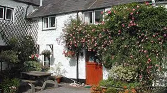 Steps Farmhouse - Guest house | Somerset - Minehead - Old Cleeve