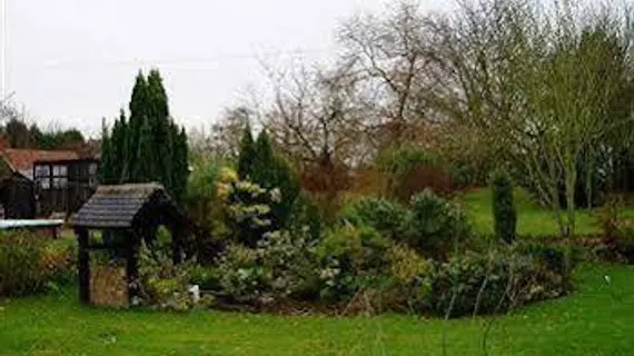 Woodview Bed & Breakfast | Essex (kontluk) - Colchester