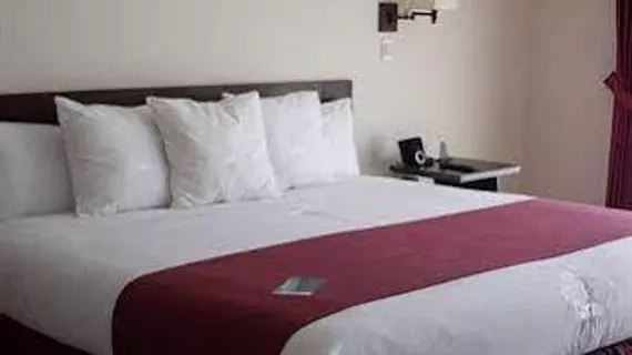 DM Hotel Andino Resort & Spa | La Paz - La Paz (ve civarı) - La Paz