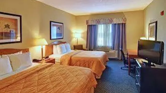 Comfort Inn DFW Airport North | Teksas - Dallas (ve civarı) - Irving