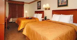 Comfort Inn & Suites Airport South | Georgia - Atlanta (ve civarı) - College Park