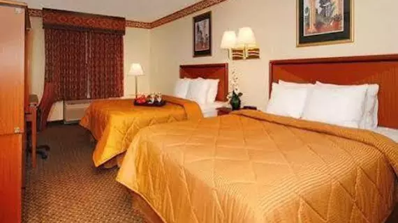 Comfort Inn & Suites Airport South | Georgia - Atlanta (ve civarı) - College Park