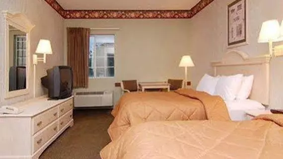 Comfort Inn Decatur | Alabama - Huntsville (ve civarı) - Decatur - Priceville