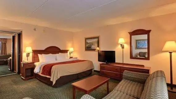 Comfort Inn Farmington Hills | Michigan - Detroit (ve civarı) - Farmington Hills