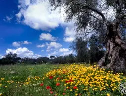 Pand'Amuri | Puglia - Lecce (il) - Poggiardo