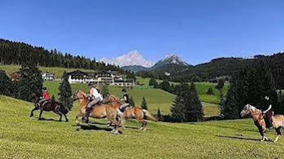 Hotel Neubergerhof | Salzburg (eyalet) - Sankt Johann im Pongau - Filzmoos