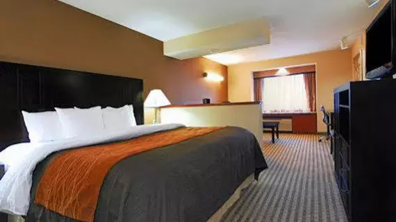 Comfort Inn Portland | Oregon - Portland (ve civarı) - Portland