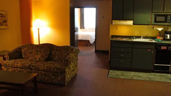 The Suites Hotel at Waterfront Plaza | Minnesota - Duluth (ve civarı) - Duluth - Downtown - Waterfront