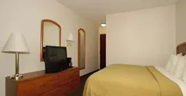 Quality Inn South | Indiana - Indianapolis (ve civarı) - Indianapolis