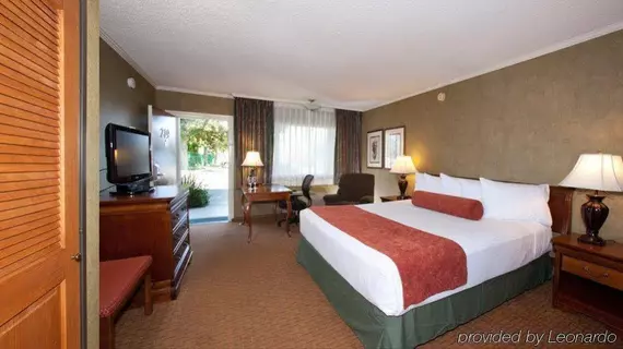 Best Western PLUS Black Oak | Kaliforniya - San Luis Obispo (ve civarı) - Paso Robles