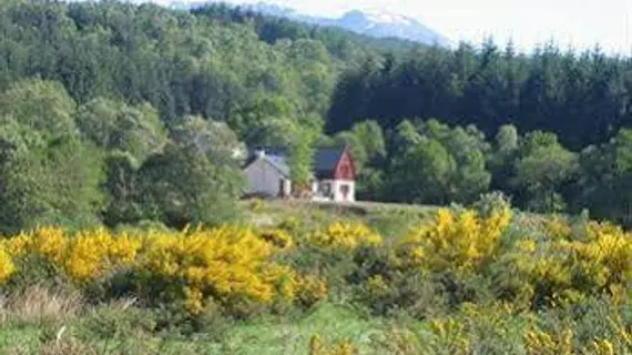 Garadh Buidhe | İskoçya - Scottish Highlands - Fort William