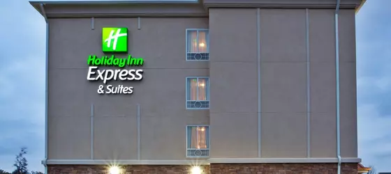 Holiday Inn Express Hotel & Suites Atlanta Airport West - Camp Creek | Georgia - Atlanta (ve civarı) - Atlanta