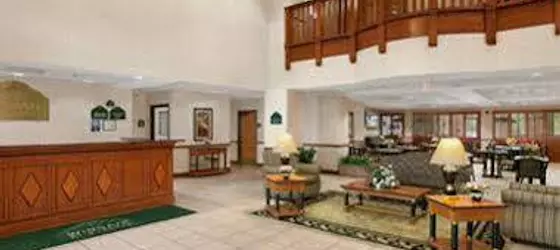 Wingate by Wyndham Airport - Rockville Rd | Indiana - Indianapolis (ve civarı) - Indianapolis