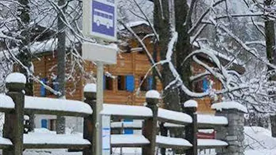 Chalet Les Frenes | Auvergne-Rhone-Alpes - Haute-Savoie (bölge) - Chamonix-Mont-Blanc - Les Bossons