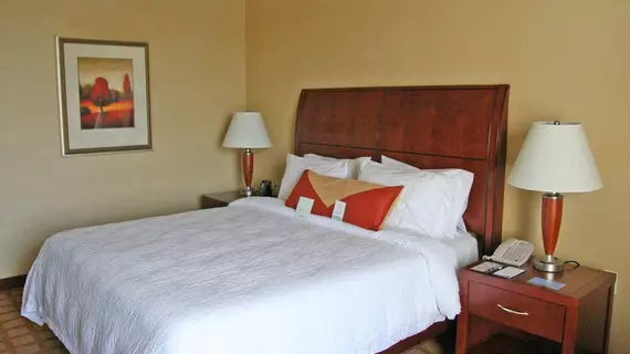 Hilton Garden Inn Indianapolis Airport | Indiana - Indianapolis (ve civarı) - Indianapolis