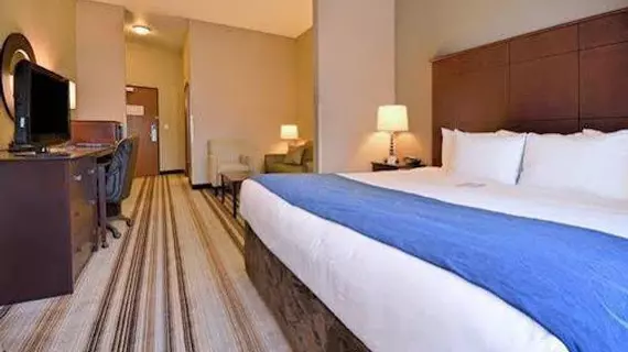 Comfort Suites Hudson | Wisconsin - Hudson (ve civarı) - Hudson