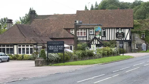 Roebuck | Doğu Sussex (kontluk) - Wadhurst - High Weald