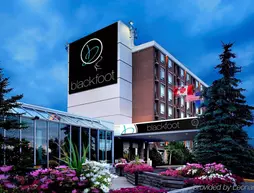 Hotel Blackfoot | Alberta - Calgary (ve civarı) - Calgary