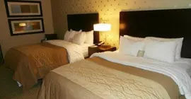 Comfort Inn Bloomington | Indiana - Bloomington (ve civarı) - Bloomington