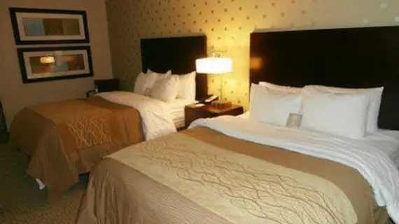 Comfort Inn Bloomington | Indiana - Bloomington (ve civarı) - Bloomington