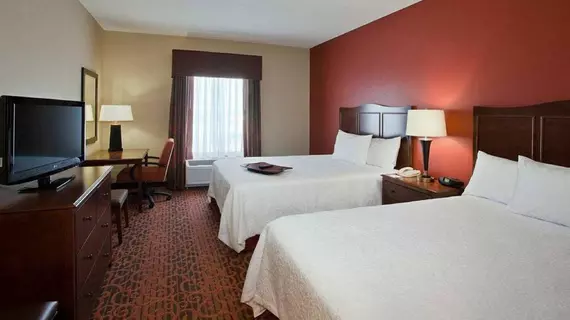 Dollinger's Inn & Suites | New York - Rochester (ve civarı) - Brockport