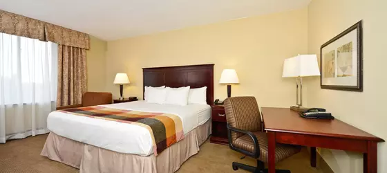 La Quinta Inn & Suites Indianapolis South | Indiana - Indianapolis (ve civarı) - Indianapolis