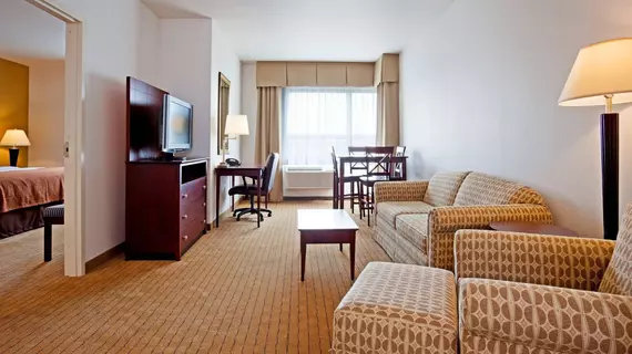 Holiday Inn Madison at The American Center | Wisconsin - Madison (ve civarı) - Madison