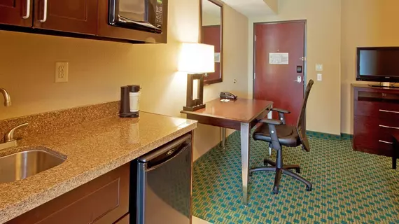 Holiday Inn Fort Worth North- Fossil Creek | Teksas - Fort Worth (ve civarı) - Fort Worth