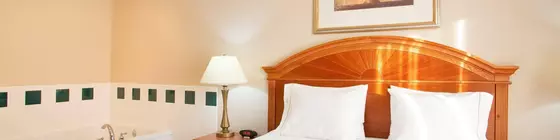 Holiday Inn Express Hotel & Suites Logansport | Indiana - Kokomo (ve civarı) - Logansport