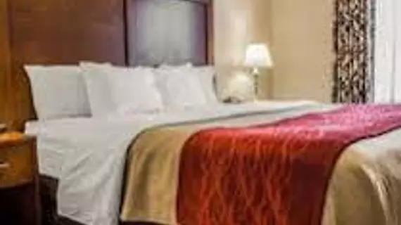 Comfort Inn & Suites Lancaster | Kaliforniya - Los Angeles County - Lancaster (ve civarı)