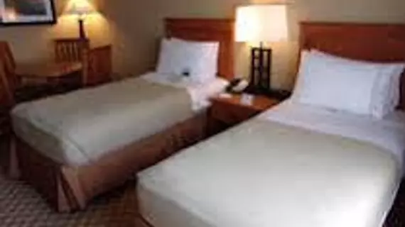 Holiday Inn Express Hotel & Suites Chicago West Roselle | İllinois - Roselle