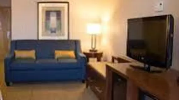 Comfort Suites Fultondale | Alabama - Birmingham (ve civarı) - Fultondale