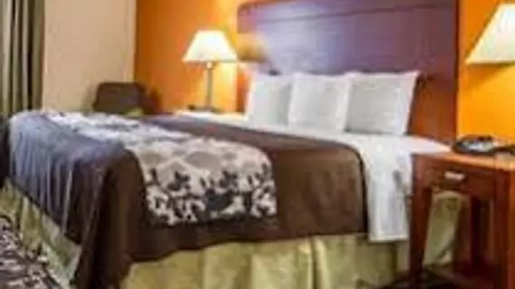 Sleep Inn & Suites I-20 | Louisiana - Bossier Parish - Shreveport (ve civarı) - Shreveport