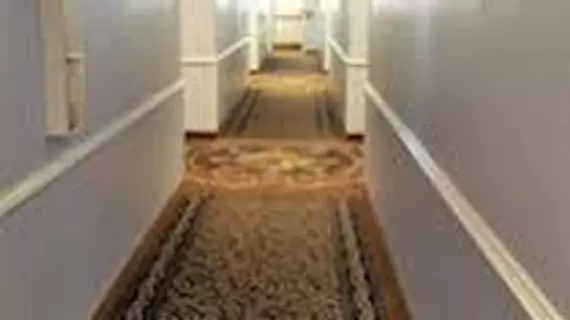 Americas Best Value Inn - El Paso / Medical Center | Teksas - El Paso (ve civarı) - El Paso