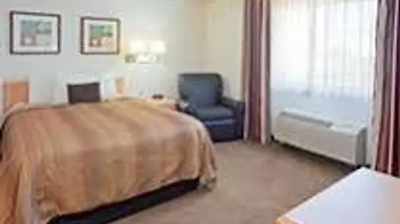 Candlewood Suites Houston Near The Galleria | Teksas - Houston (ve civarı) - Houston