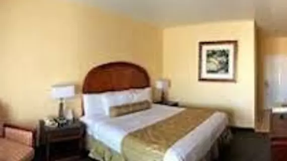 Americas Best Value Inn - El Paso / Medical Center | Teksas - El Paso (ve civarı) - El Paso