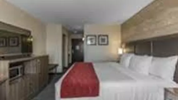 Comfort Inn & Suites | Alberta - Calgary (ve civarı) - Calgary