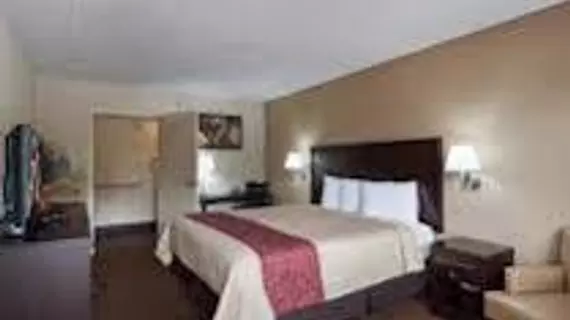 Red Roof Inn Springfield | İllinois - Springfield (ve civarı) - Springfield