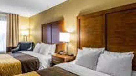 Comfort Inn & Suites Peachtree Corners | Georgia - Atlanta (ve civarı) - Norcross